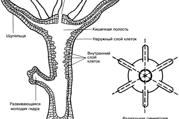 Кракен зарегистрироваться