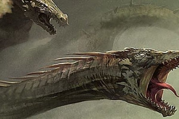 Kraken krn
